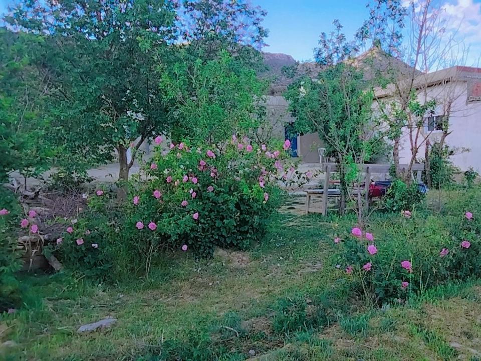 Gite Dayet Chiker Taza Exteriér fotografie
