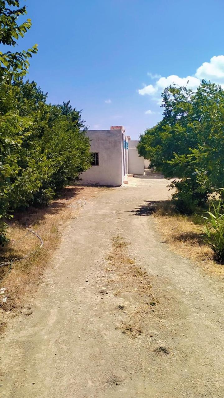 Gite Dayet Chiker Taza Exteriér fotografie